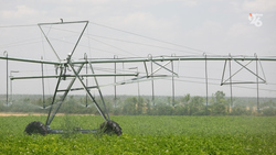 На Ставрополье в 2025 году субсидии на развитие мелиорации получили 14 проектов