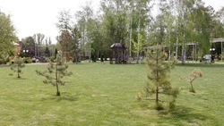 Сквер по улице Горького благоустроят в Арзгире