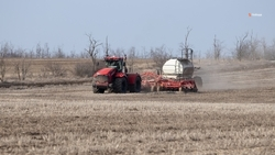 Более 92% от общего объёма господдержки получили аграрии Ставрополья