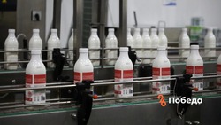 Минсельхоз Ставрополья разработает новую субсидию для производителей молока