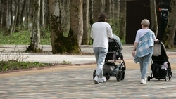 Выплату на третьего и последующего ребёнка получают 58 семей Арзгирского округа