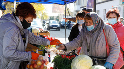 Новые площадки для продуктовых мини-рынков создадут на Ставрополье