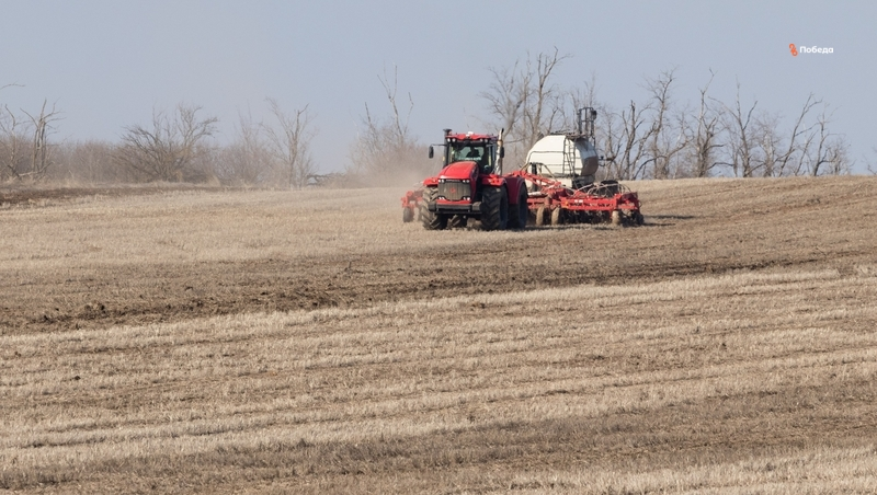 Ранние яровые сеют в Арзгирском округе